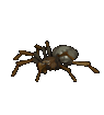 Tarantula icon