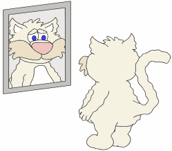 Cat in the mirror