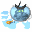 Cat in a fishbowl