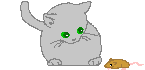 Cat and mouse