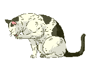 Cat grooming