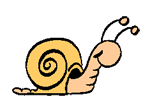 Snail slow