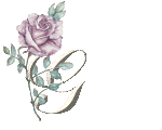 pink rose G letter