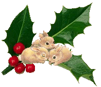 Christmas Holly