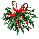 Mistletoe