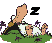 Opus the penguin sleeping