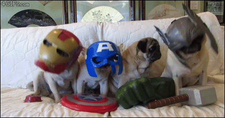 Puppies Avengers