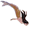 Mermaid diving