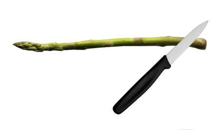 Asparagus