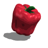 Red pepper