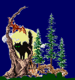 Black Cat on Halloween