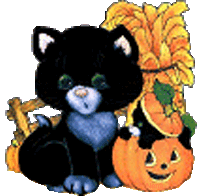 Halloween Black Cat