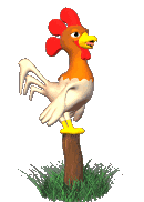 3D rooster