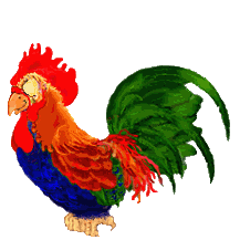 Chinese rooster
