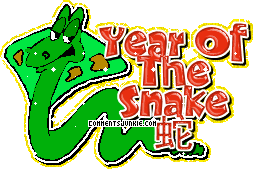 Year of the snake
