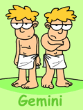 Gemini sign