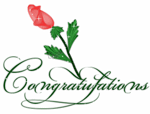 Congratulations red rose 