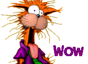 Wow cat