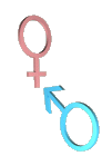 Gender symbols 