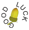 Acorn good luck