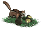 Squirrel with acorns