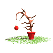 Christmas tree without leaves