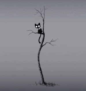 Dry tree and black cat