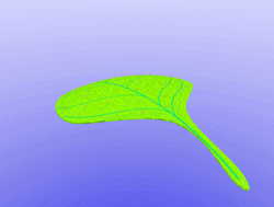 Green leaf turning