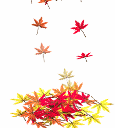 Leaves falling